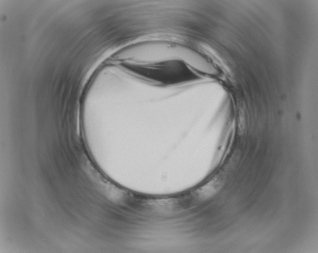 X0000077391276200611172030