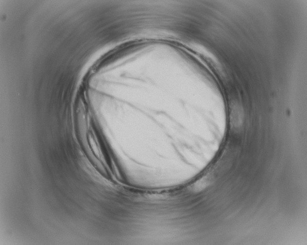 X0000077391280200611172030