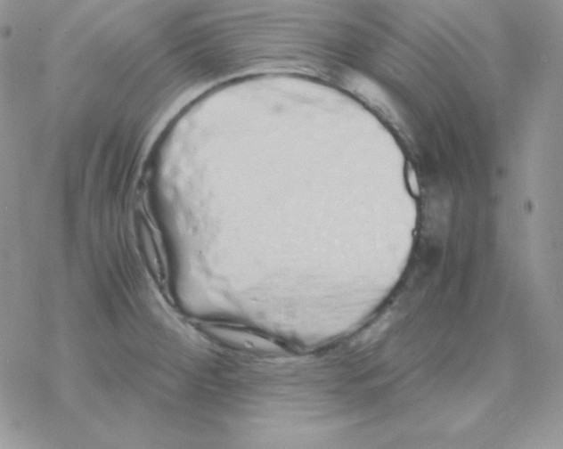X0000077391284200611172030