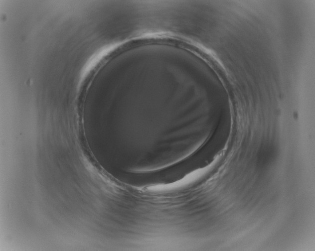 X0000077391319200611172029
