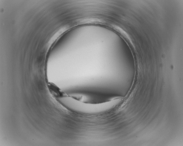 X0000077391330200611172029