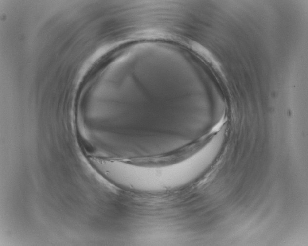 X0000077391334200611172029