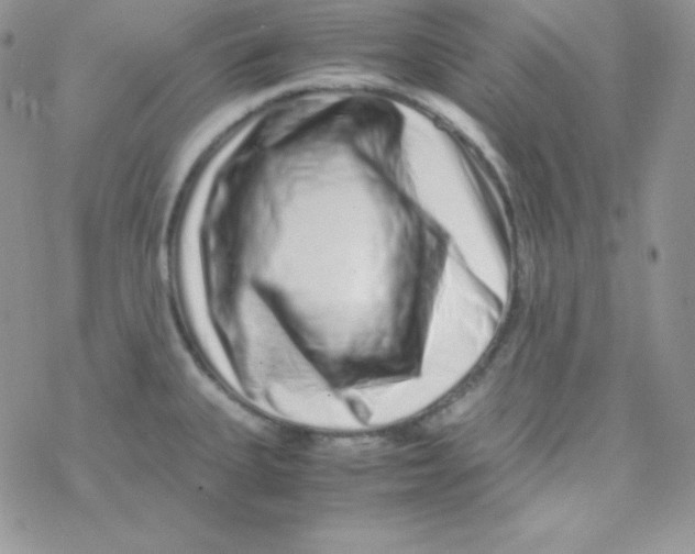 X0000077391335200611172029