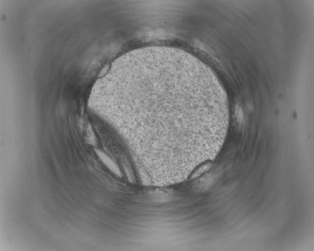 X0000077391348200611172029