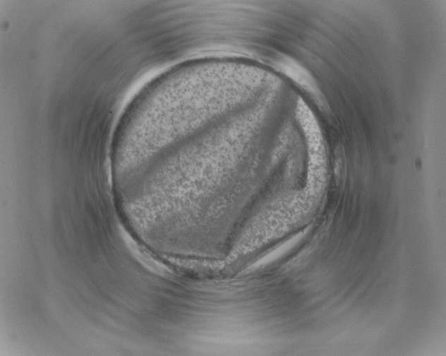 X0000077391372200611172028