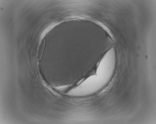 X0000077391373200611172028