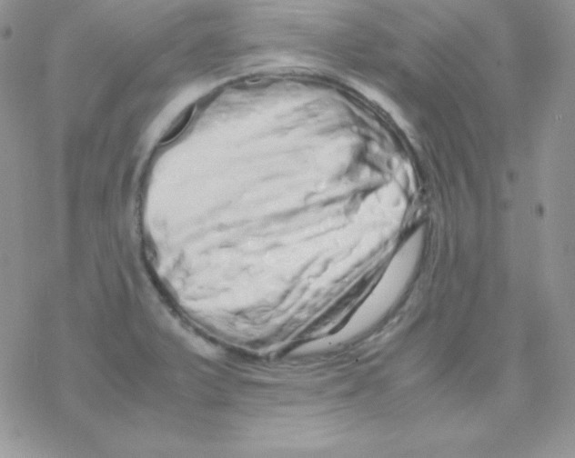 X0000077391375200611172028