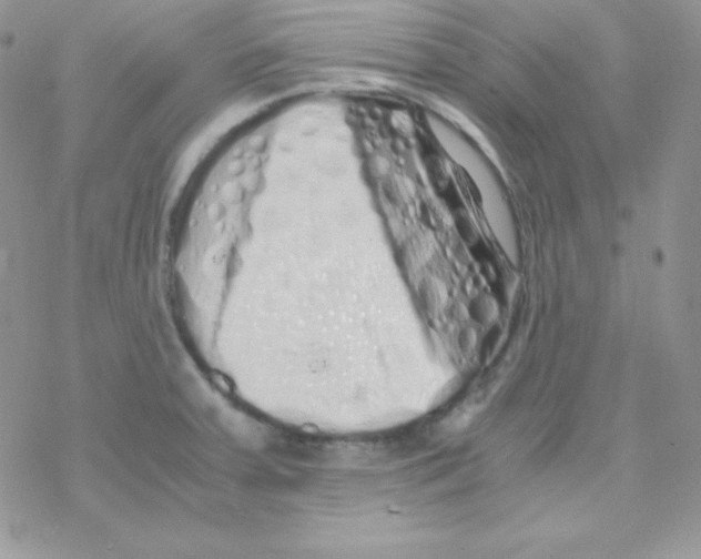 X0000077391379200611172028