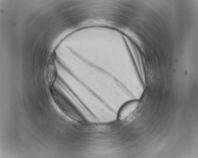 X0000077391382200611172028