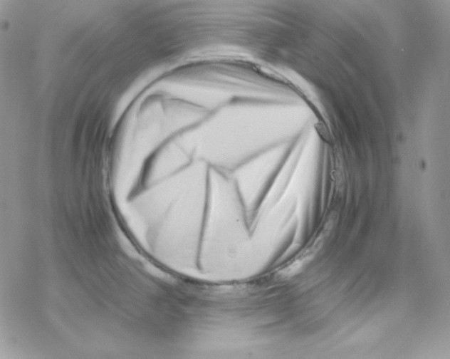X0000077391390200611172028