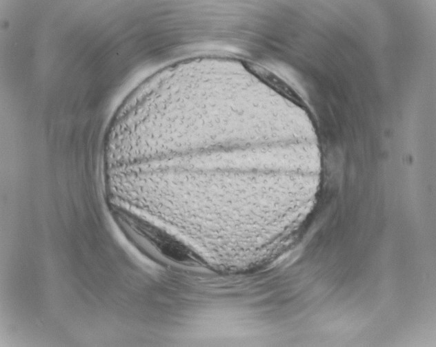 X0000077391391200611172028