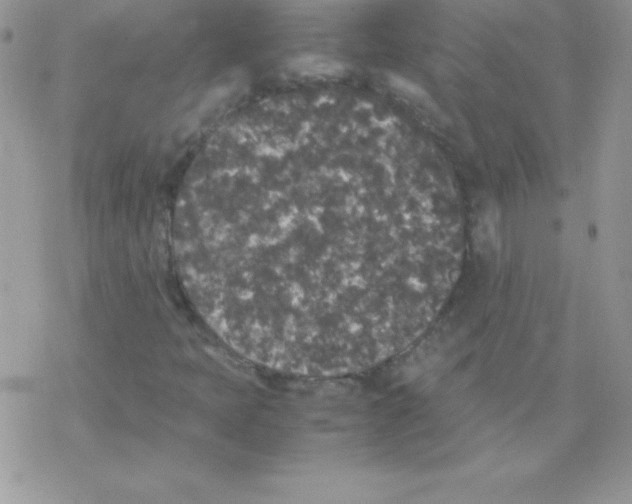 X0000077391397200611172027