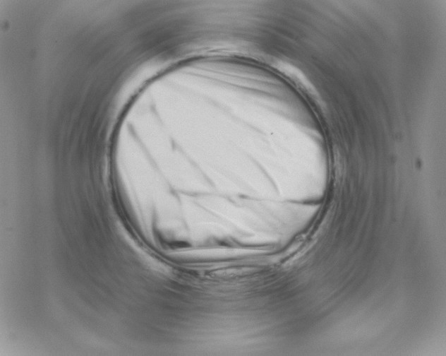 X0000077391424200611172028