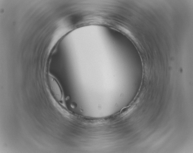 X0000077391426200611172028