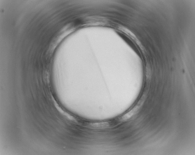 X0000077391433200611172028