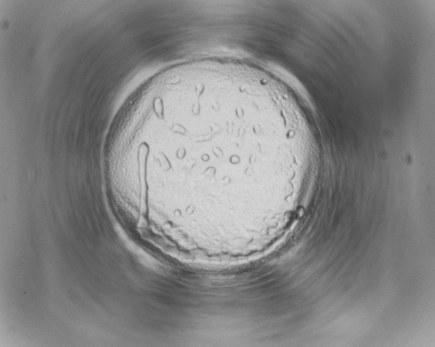 X0000077391439200611172028