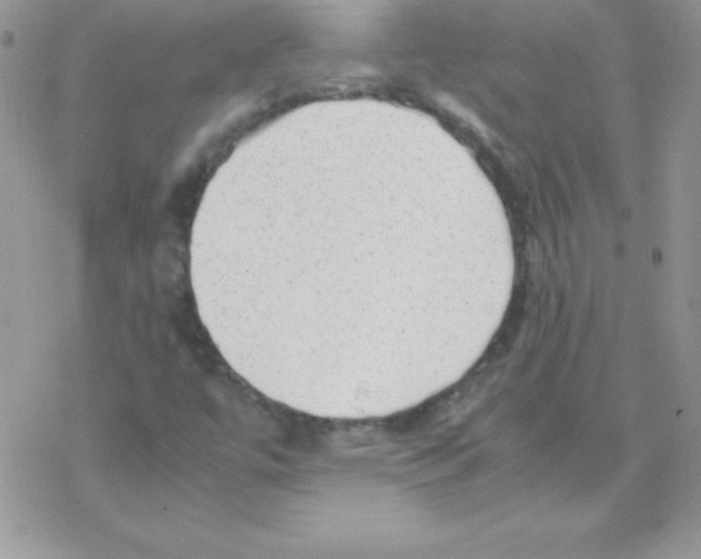 X0000077391447200611172027