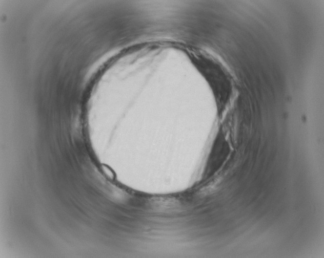X0000077391452200611172027