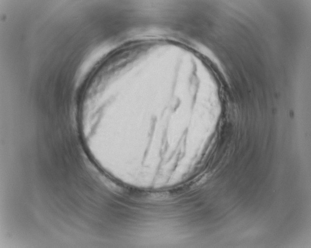 X0000077391464200611172027