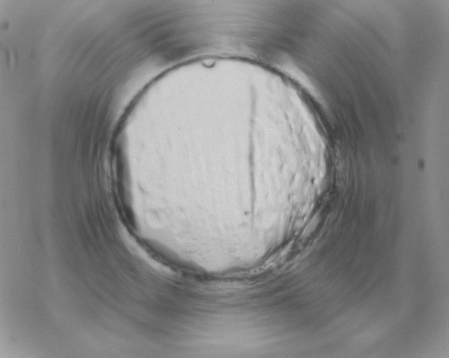 X0000077391468200611172027