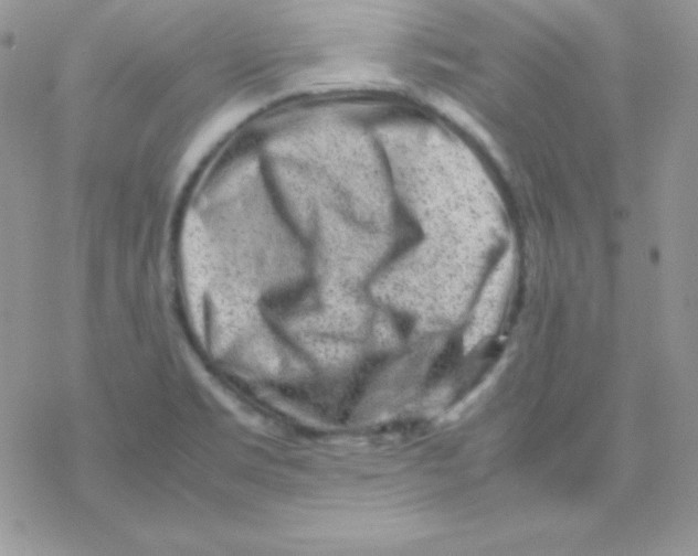 X0000077391469200611172027