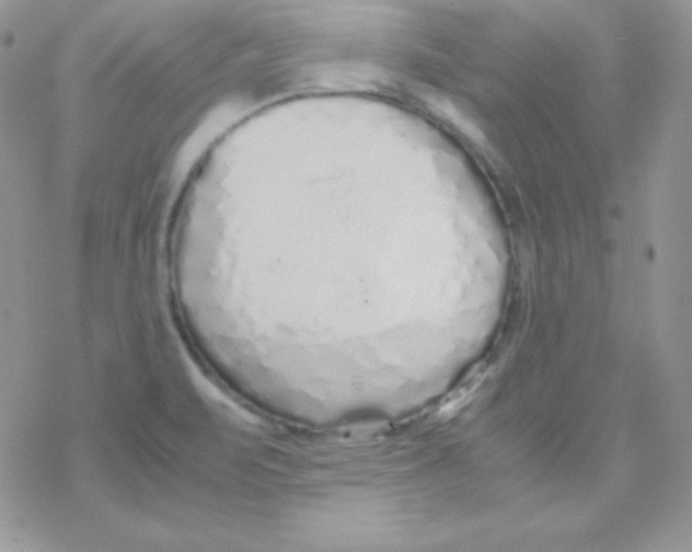 X0000077391471200611172027