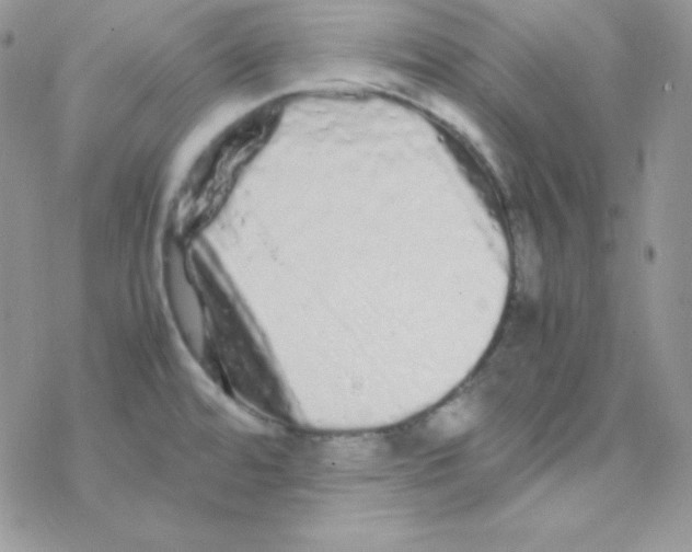 X0000077391480200611172026