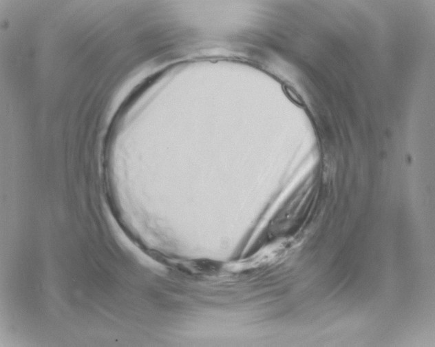 X0000077391483200611172026