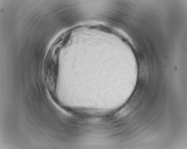 X0000077391484200611172026