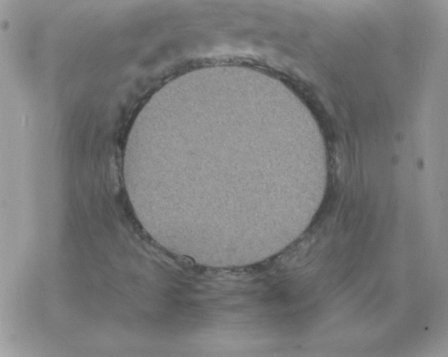 X0000077391493200611172026