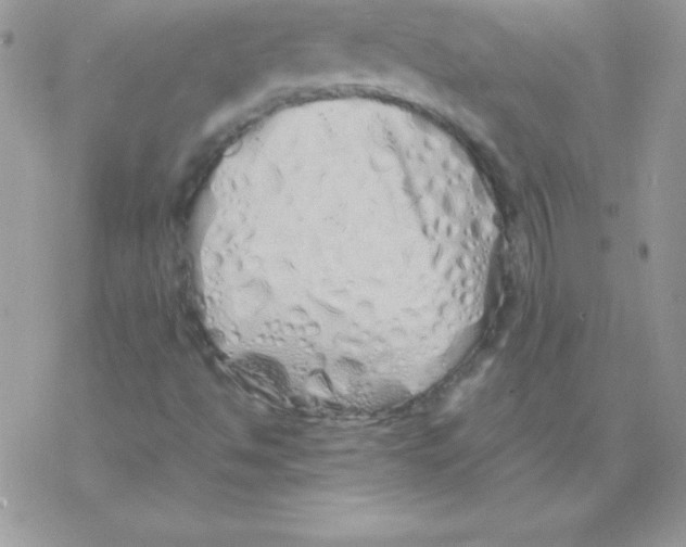 X0000077391494200611172026