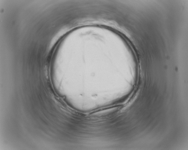 X0000077391501200611172026