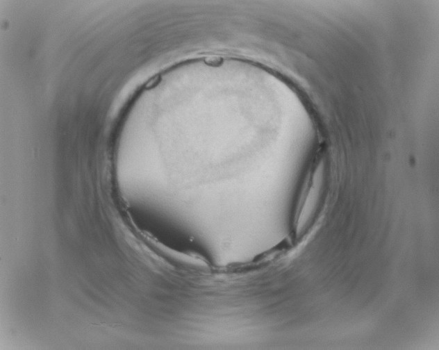 X0000077391506200611172026