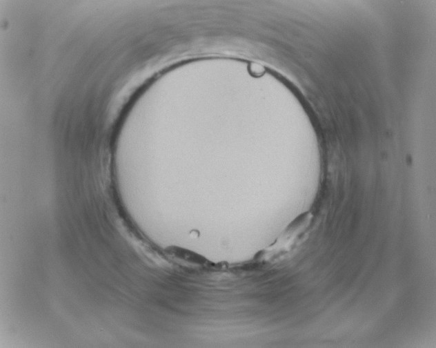 X0000077391507200611172026