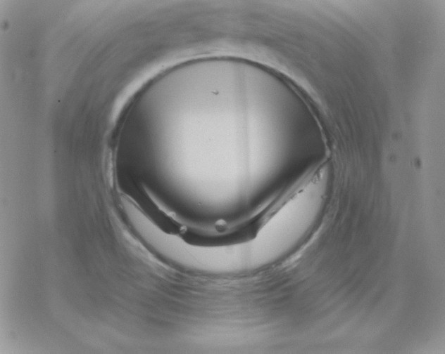 X0000077391510200611172026