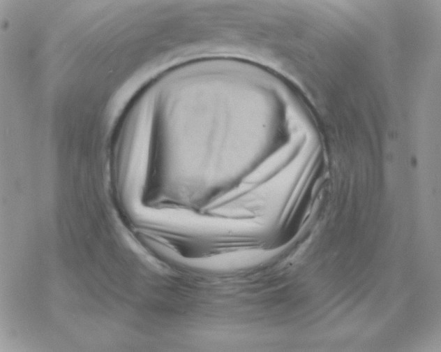 X0000077391511200611172026