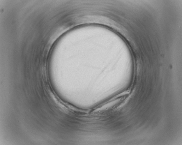 X0000077391513200611172026