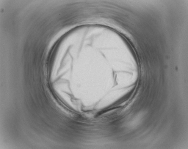 X0000077391517200611172026