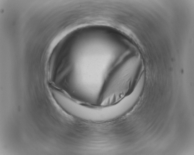 X0000077391520200611172026