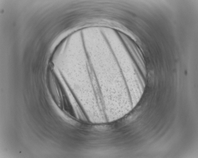 X0000077391523200611172026