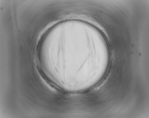 X0000077391525200611172026