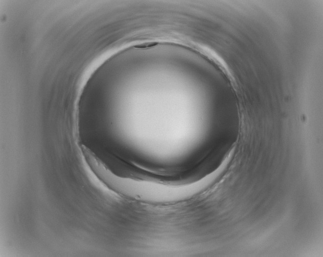 X0000077391528200611172026