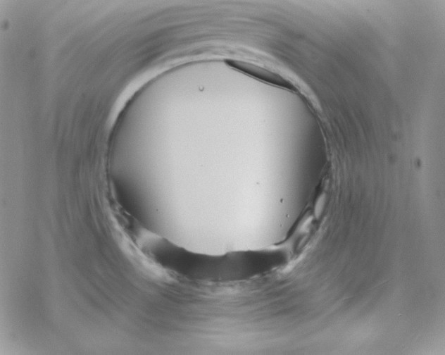 X0000077391530200611172026