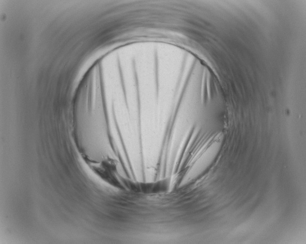 X0000077391531200611172026