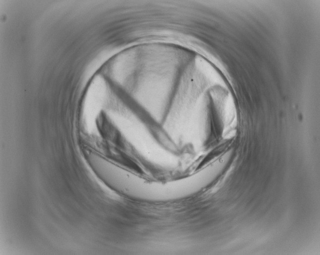 X0000077391533200611172026