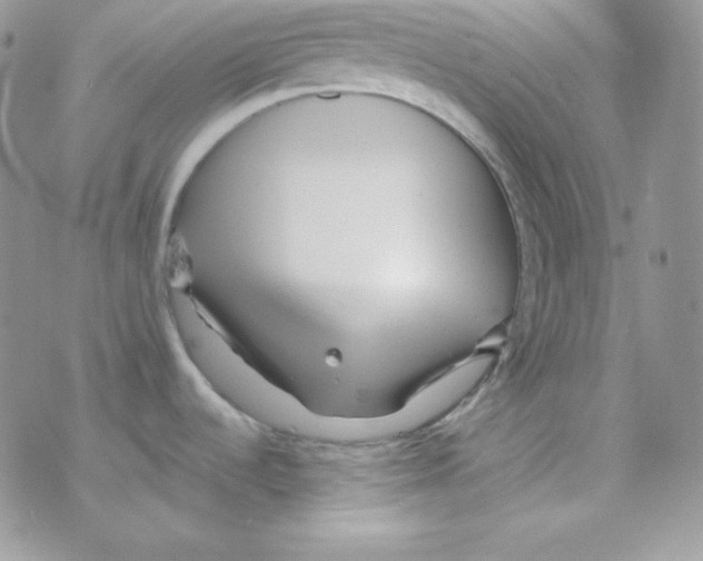 X0000077391536200611172026