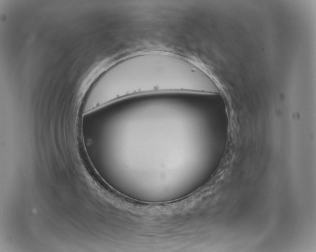 X0000077400007200610201051
