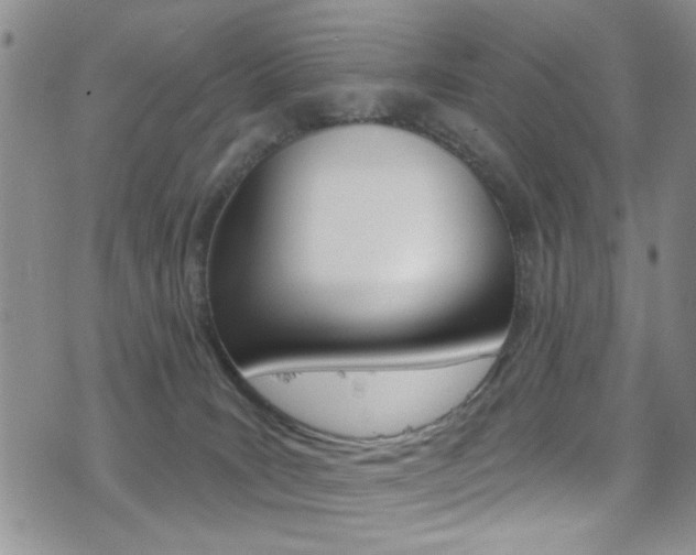 X0000077400035200610201051
