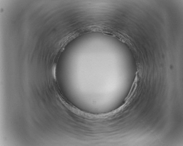 X0000077400047200610201051