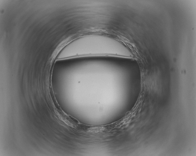 X0000077400051200610201050